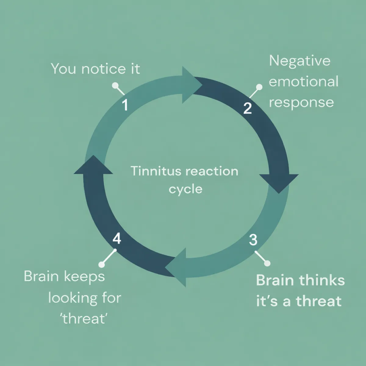 The tinnitus reaction cycle
